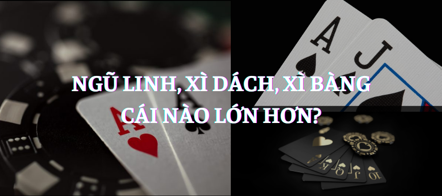 xi-dach-online